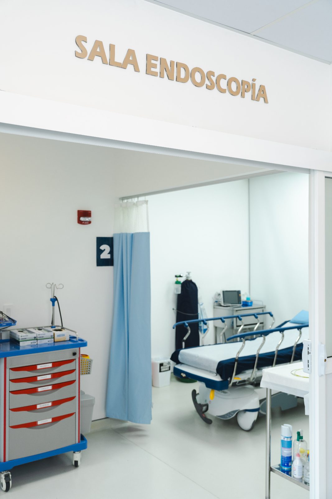 Endoscopía terapéutica y mucosectomía en Endogastro CR