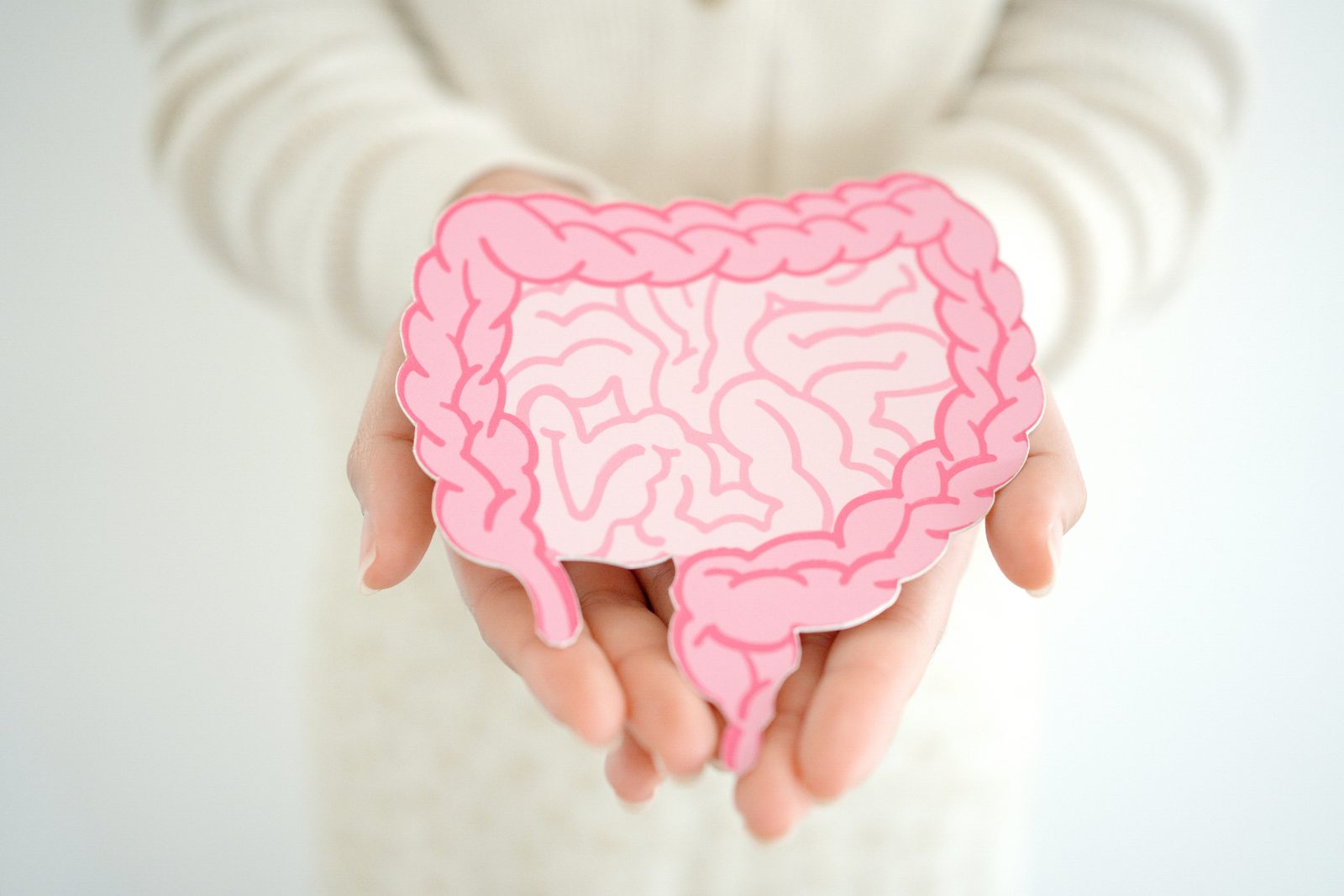 ¿Sus hábitos están dañando su microbioma intestinal? Estas son las señales